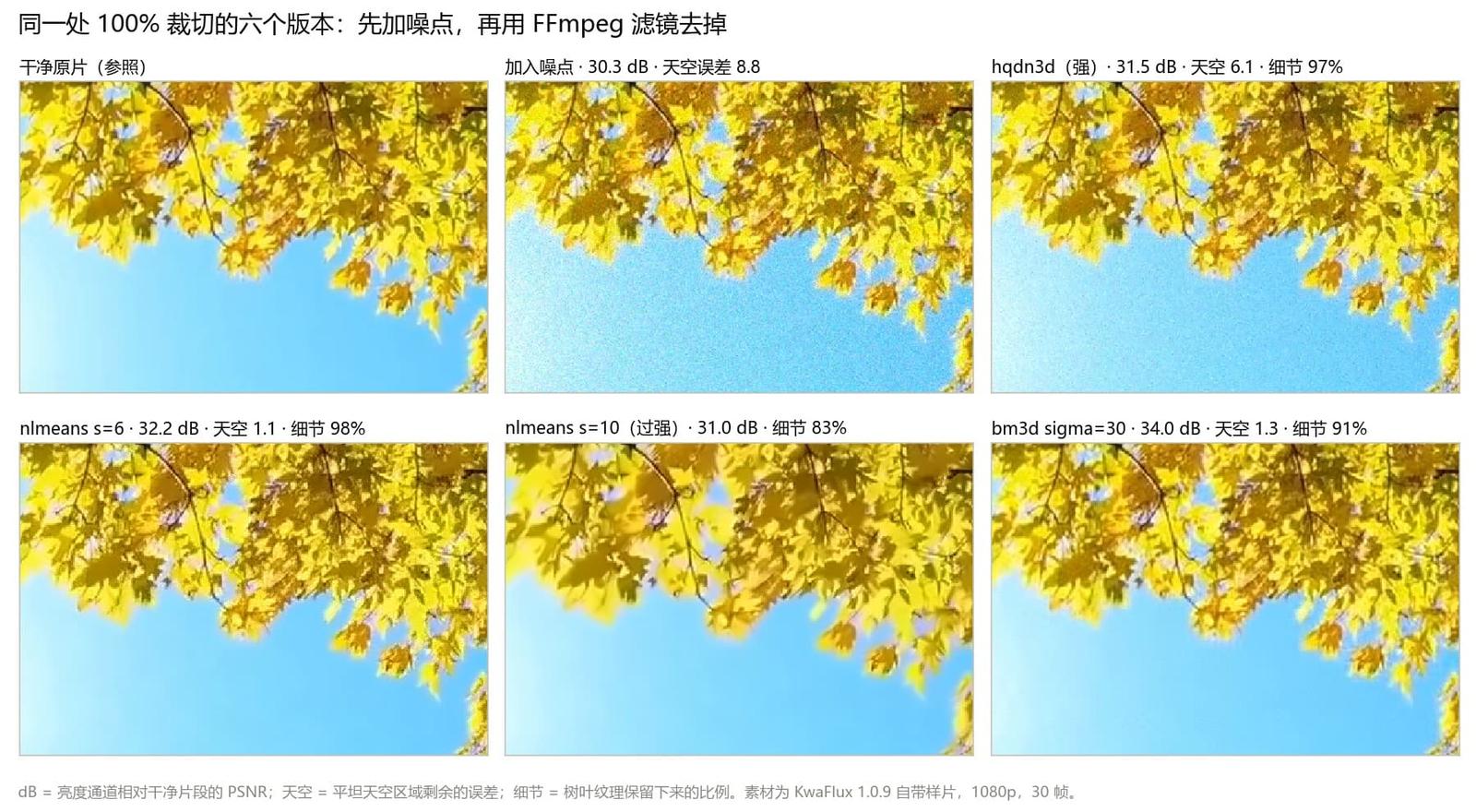 同一块天空加树叶区域的六个版本：干净原片、加噪、hqdn3d、两种强度的 nlmeans 和 bm3d，各自标出分数