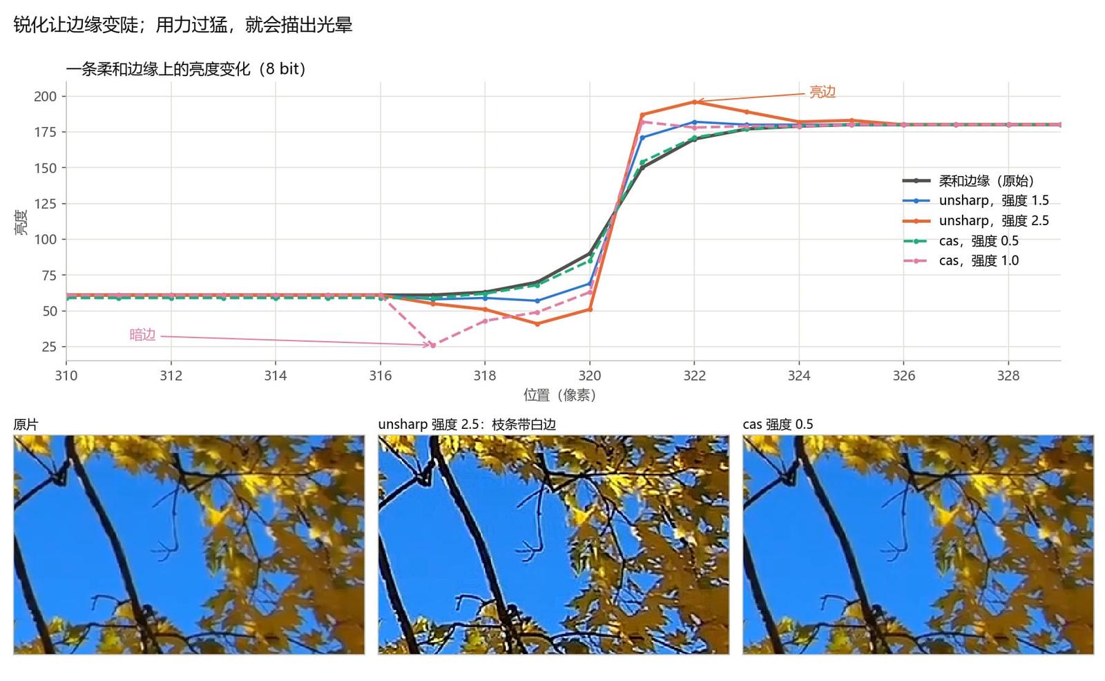 unsharp 和 cas 两种强度下的边缘亮度曲线，以及树枝衬着天空的裁切：原片、强度 2.5 的 unsharp 出现白边、强度 0.5 的 cas
